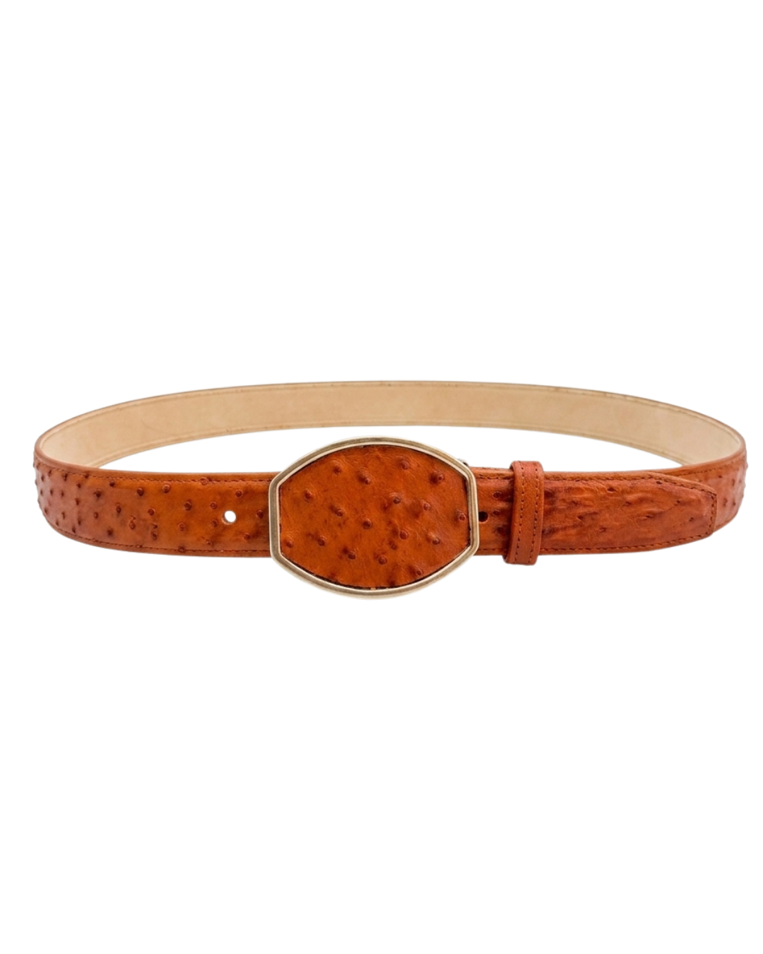 Rodeo Avestruz Chedron