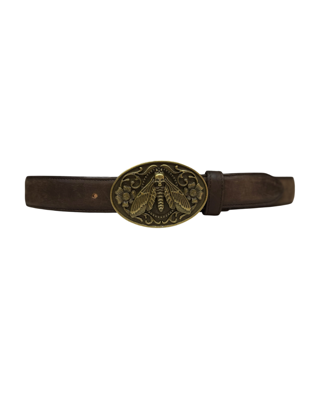 Balteus Moth Bronce