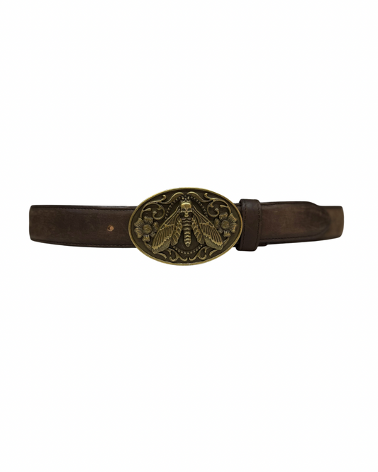Balteus Moth Bronce
