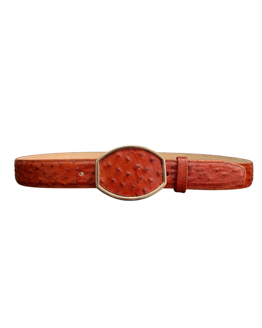Rodeo Avestruz Chedron